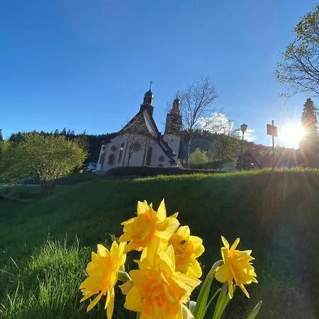 Kleines Haus Silberdistel Lägenhet Todtmoos