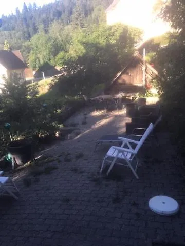 Kleines Haus Silberdistel