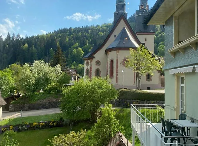 Kleines Haus Silberdistel Todtmoos